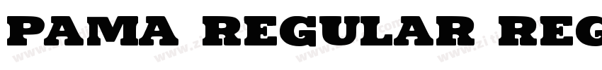 PAMA REGULAR Regular字体转换